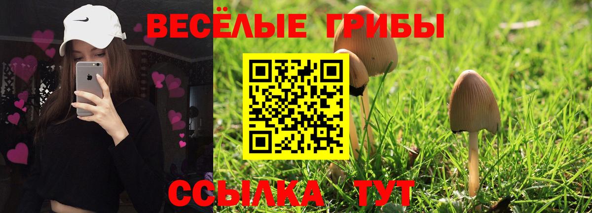 что такое наркотик  Псилоцибиновые грибы MAGIC MUSHROOMS  Вход с VPN  Ачинск 